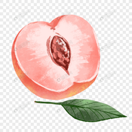 快播app图片